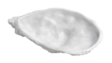 Coquille d'Huître Brillant/Mat 12cm
