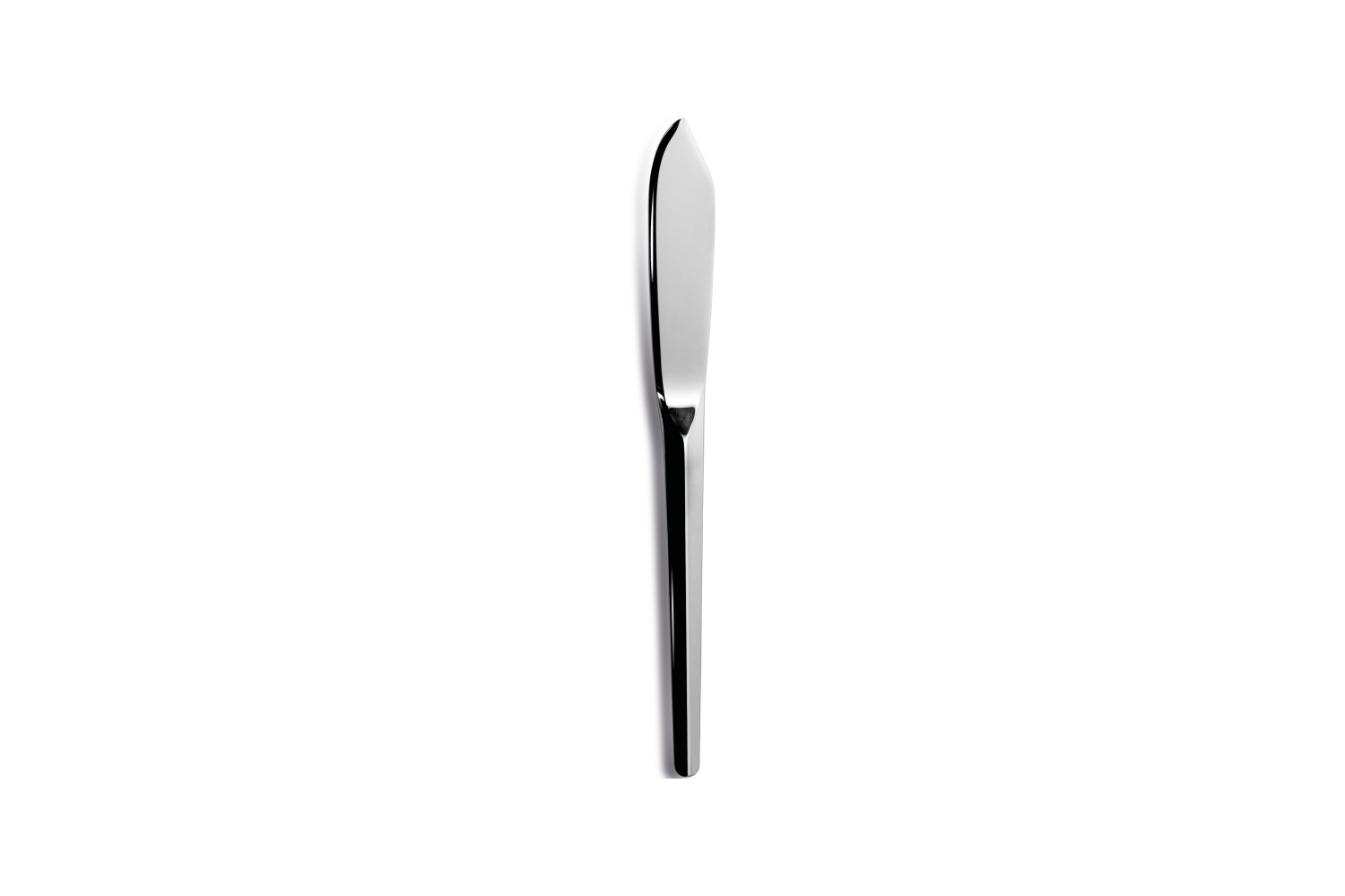 Aster Fish Server Silver