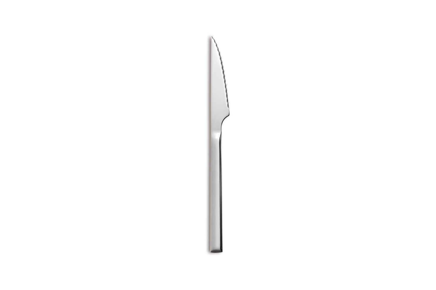 Hotel Steak Knife