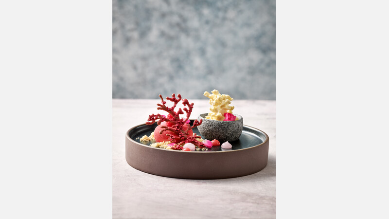 Bord plat/diep rond 21 cm
