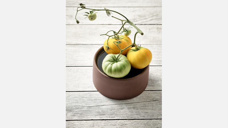 Bord plat/diep rond 21 cm