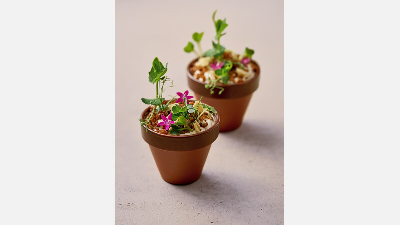 Kleine terracotta pot 10 cm
