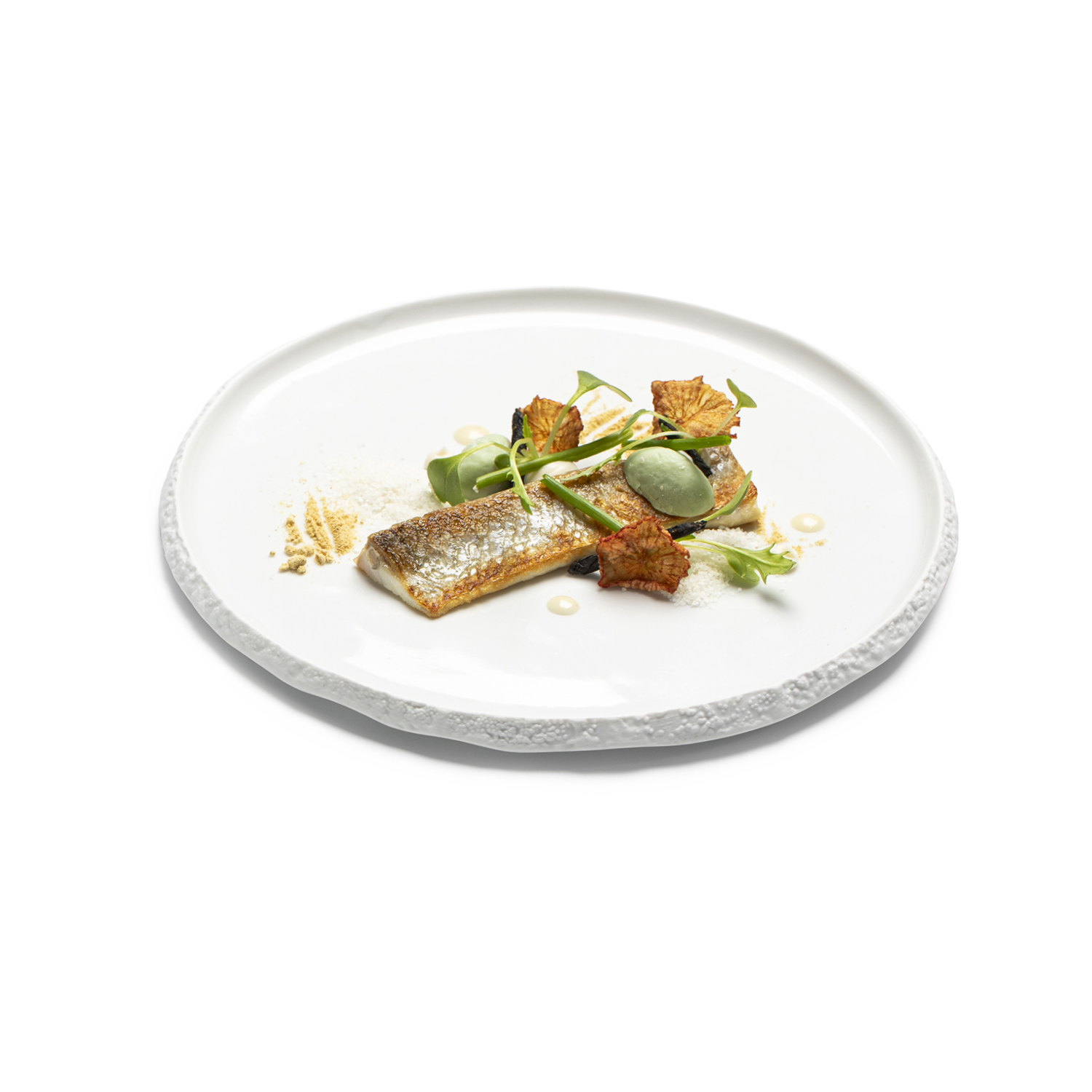 Koraalplaat 20cm