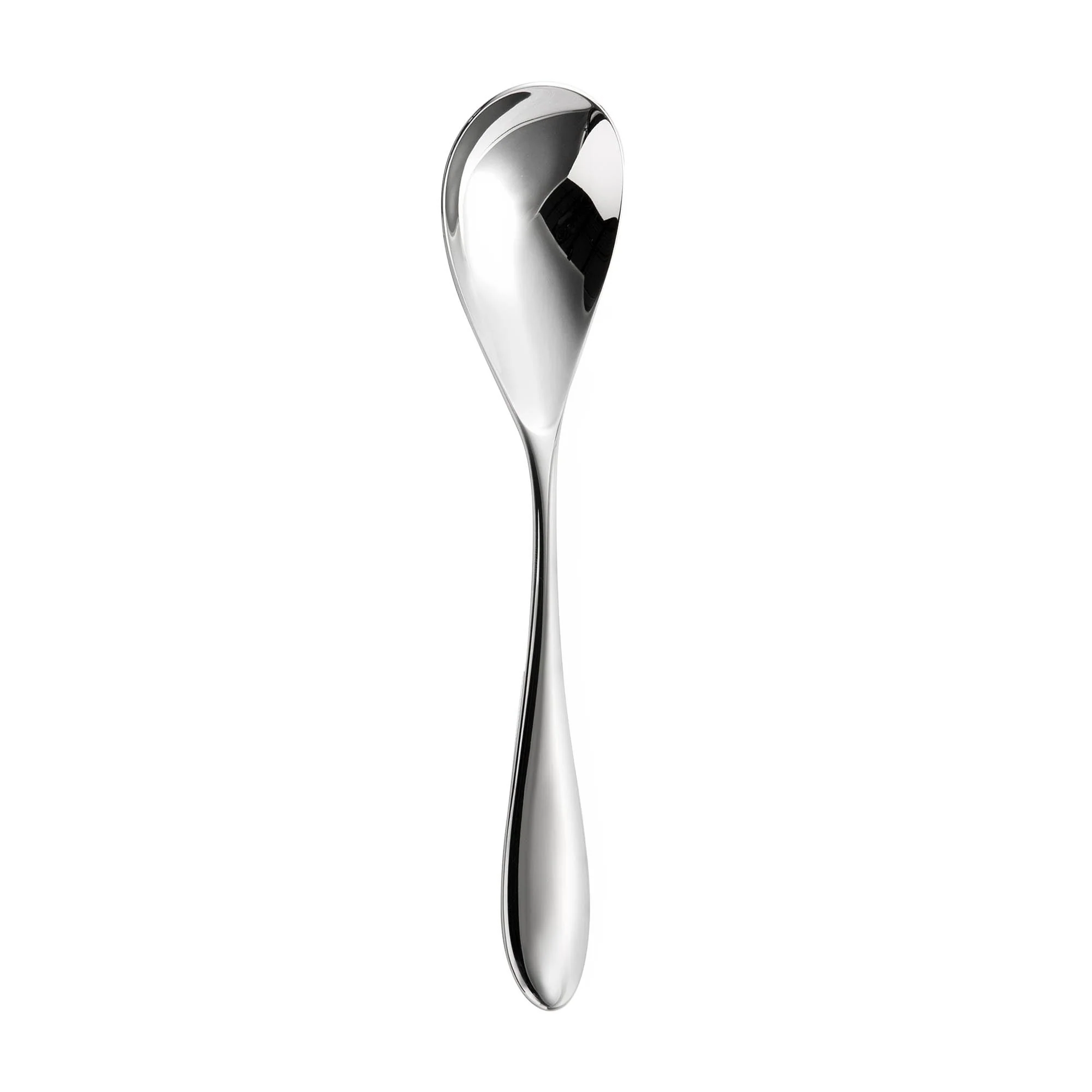 Soup Spoon