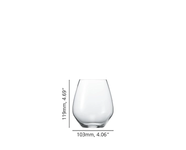 Authentis Casual All Purpose Tumbler - XL