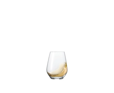 Authentis Casual All Purpose Tumbler - M