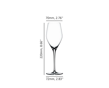 Authentis Champagne Glass