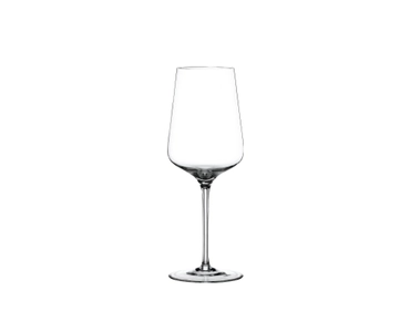 Hybrid Red Wine Glass