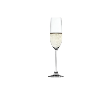 Salute Champagne Flute