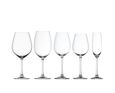 Salute Champagne Flute