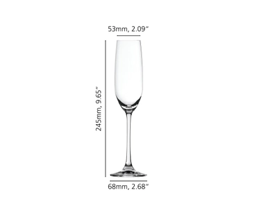 Salute Champagne Flute