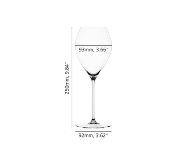 Special Glasses Spumante Glass
