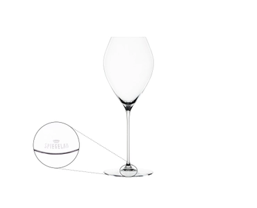 Special Glasses Spumante Glass