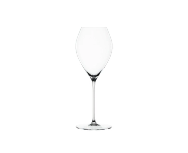 Special Glasses Spumante Glass
