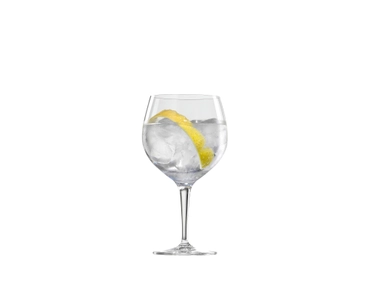 Gin & Tonic