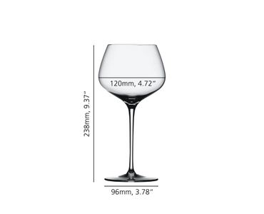 Willsberger Anniversary Burgundy Glass