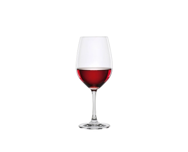 Winelovers Bordeaux