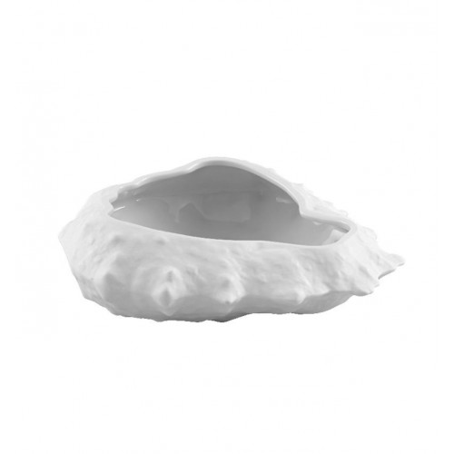 Assiette Araignée de Mer