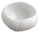 seeigel glanz/matt 6cm