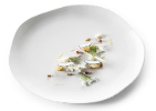 Gastro Teller Matt 24cm