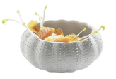 Seeigel matt 12cm