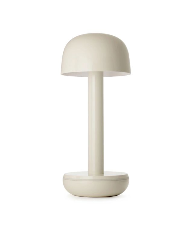Two Ivory