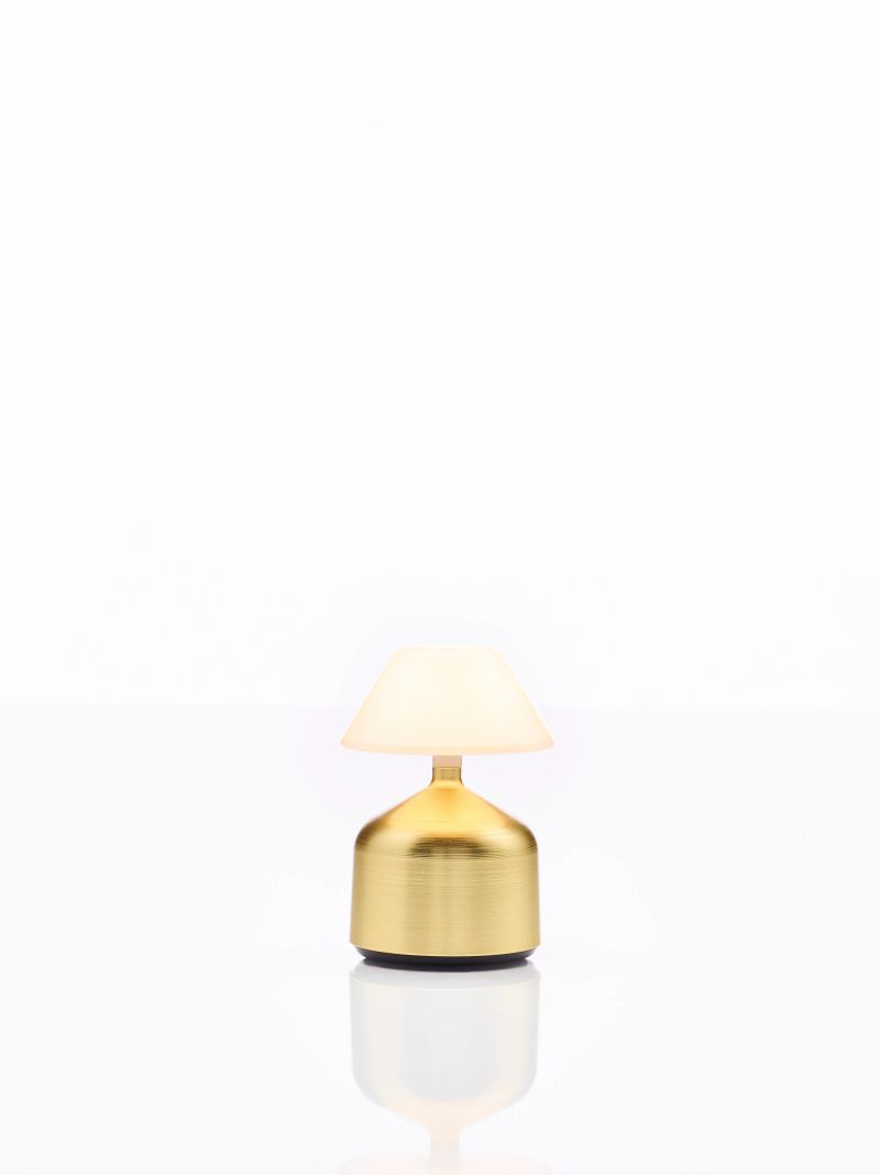 Demoiselle Small Cap Opal