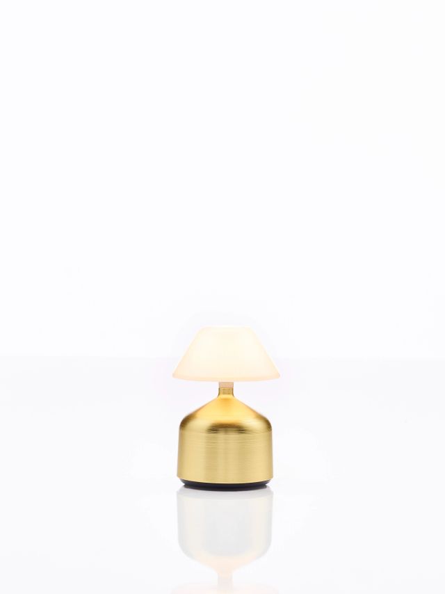 Demoiselle Small Cap Opal