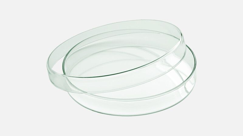 Flache Glasschale mit Deckel 18 cm
