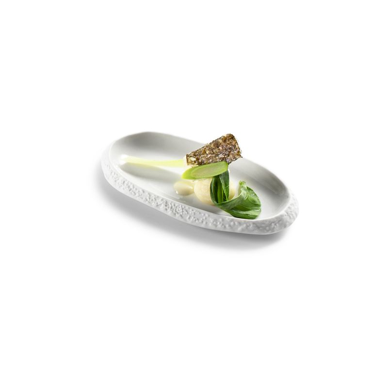 Elegante Korallenschale
